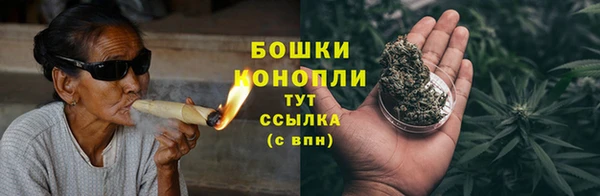 ГАЛЛЮЦИНОГЕННЫЕ ГРИБЫ Алексин