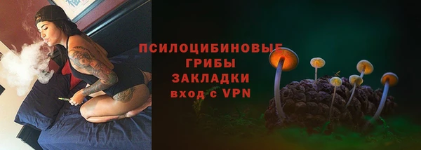 mdpv Алзамай