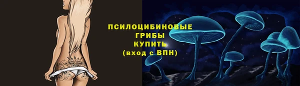 ГАЛЛЮЦИНОГЕННЫЕ ГРИБЫ Алексин