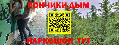 прущие грибы Кимры