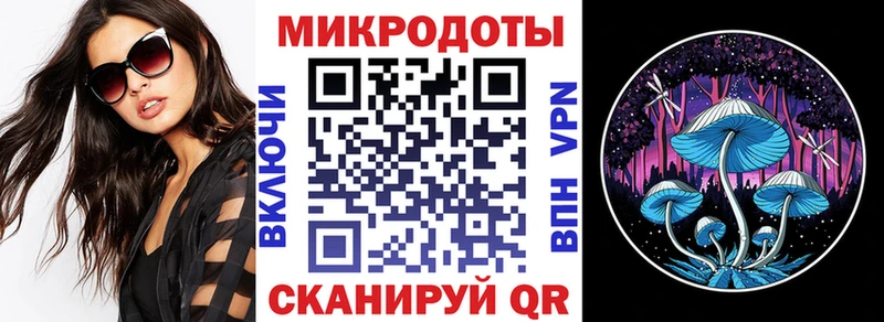 Галлюциногенные грибы Psilocybe  Красногорск 